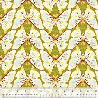 Windham Fabrics 3 Meter Bundle - Tamara Kate's Insectarium, Luna - Spring
