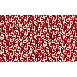 STONEHENGE OH CANADA 14, Flags, RED CREAM 0.21/cm or $21/m