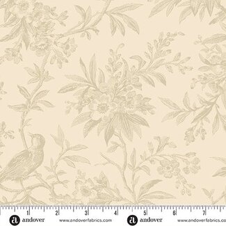 Andover HALCYON DAYS 108s Lace,  0.38/cm or $38/m
