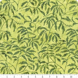 Island Batik 105 cm Full Bloom Batiks, 721405002, Light and Dark Green Parsley, $20/m