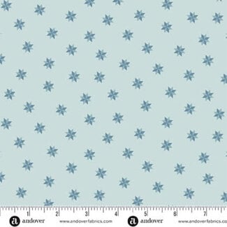 Andover 65 cm  Sewing Bird, Le Moyne Star, A1610-Bluebonnets,  $24/m