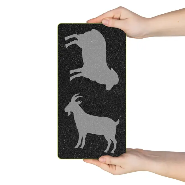 GO! Sheep & Goat