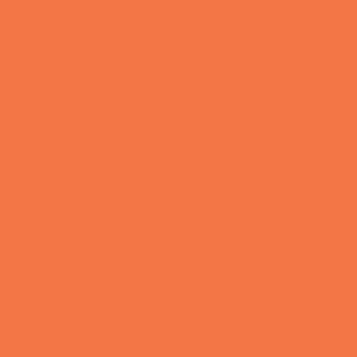 FreeSpirit 54cm of Designer Solids - Mesa (CSFSESS.MESAX) $0.14 per cm or $14/m