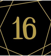 Elegant Sixteen Beverage Napkins - Hot Stamped