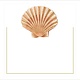 Seashell Die-Cut Place Cards - 8 Pcs