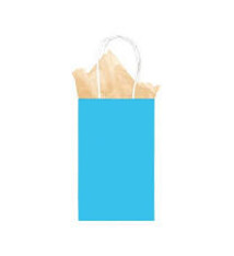 Caribbean Blue Solid Kraft Bag - Small