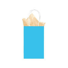 Caribbean Blue Solid Kraft Bag - Small