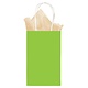 Lime Solid Kraft Bag - Small