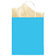 Caribbean Blue Solid Kraft Bag - Medium