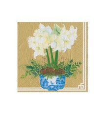 Potted Amaryllis Paper Cocktail Napkins in Gold - 20 Per Package