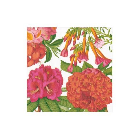 Jefferson's Garden Study Paper Cocktail Napkins in White - 20 Per Package