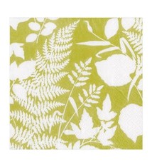Modern Fern Paper Luncheon Napkins in Lime - 20 Per Package