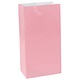 Mini Paper Bag - New Pink