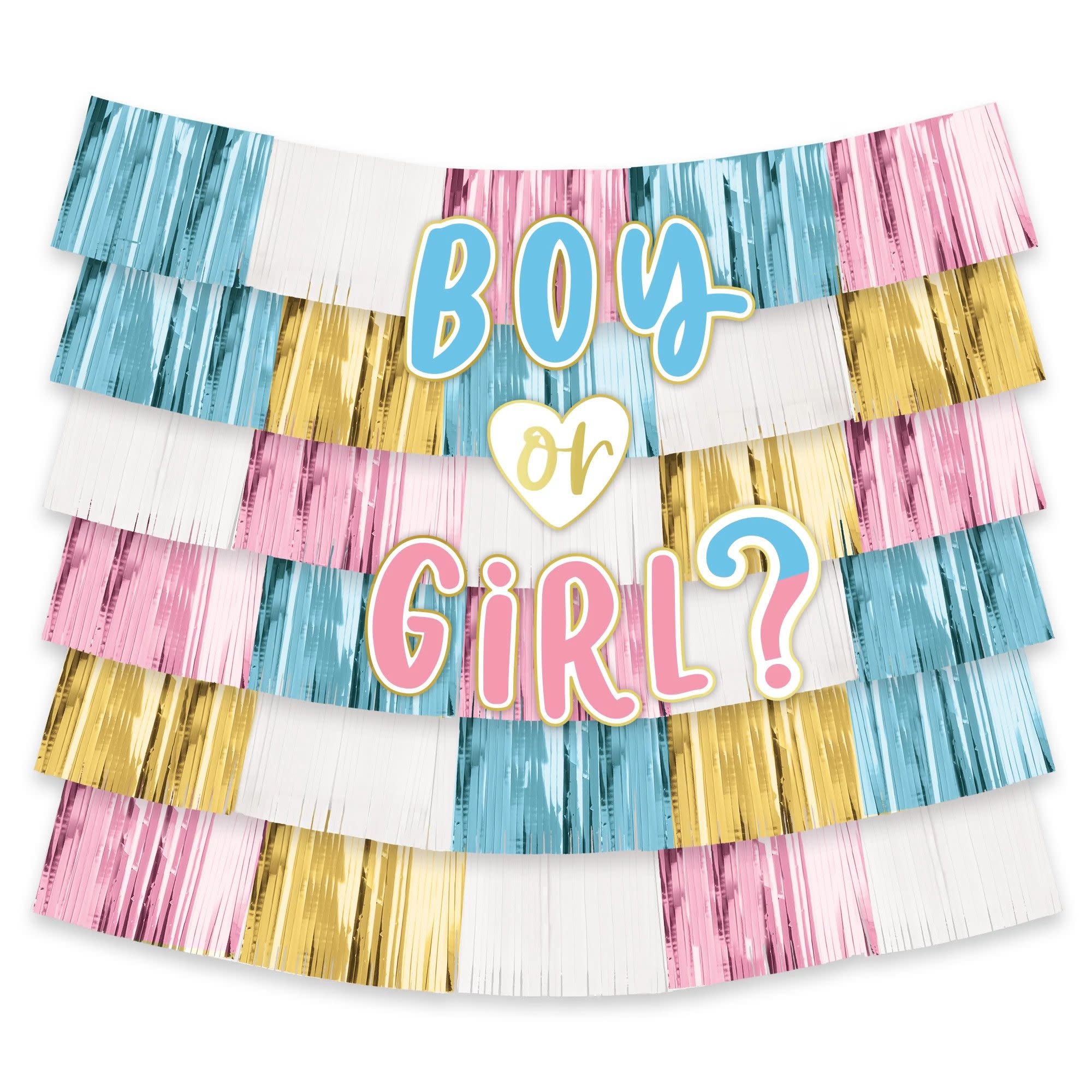 Gender Reveal Deluxe Backdrop Decorating Kit