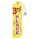 3rd Place Recognition Ribbons