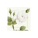 Redoute Rose Paper Luncheon Napkins in Ivory - 20 Per Package