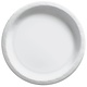 10" Round Paper Plates, Mid Ct. - Frosty White