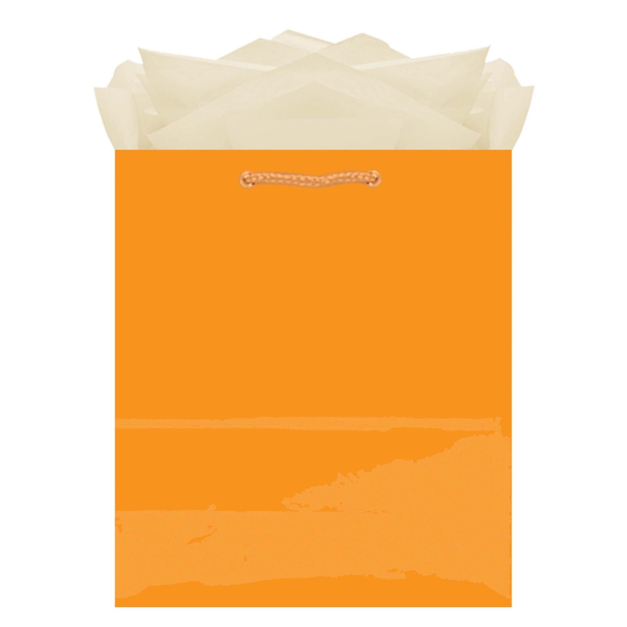 Orange Peel Medium Solid Glossy Bag