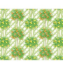 Citrus Topiaries Rectangle Paper Placemats - 12 Per Package
