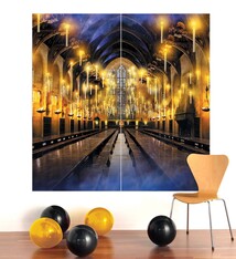 Harry Potter 2 Piece Back Drop