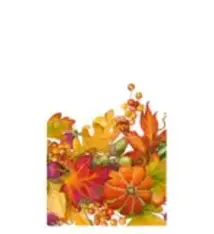 Harvest Garland White Guest Towel Napkins - 15 Per Package