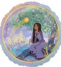 17" Wish Mylar Balloon