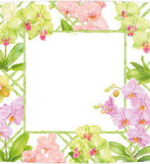 Orchid Conservatory Square Dinner Plates - 8 Per Package