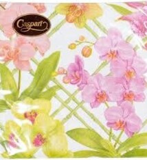 Orchid Conservatory Dinner Napkins - 20 Per Package