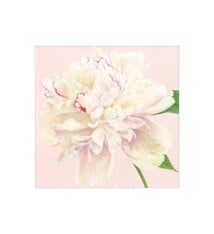 Duchess Peonies Paper Cocktail Napkins in Blush - 20 Per Package