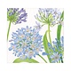 Agapanthus Garden Paper Luncheon Napkins - 20 Per Package