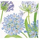 Agapanthus Garden Paper Dinner Napkins - 20 Per Package