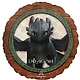 17" How to Train Your Dragon Mylar Balloon