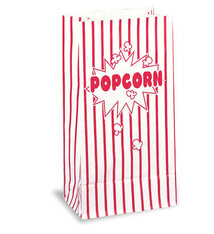 Paper Popcorn Bags -10 Count