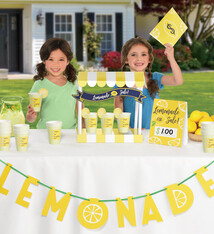 Mini Lemonade Stand Decorating Kit