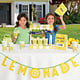 Mini Lemonade Stand Decorating Kit