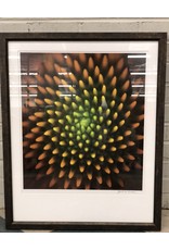 Residence Inn CRI-Picture Md