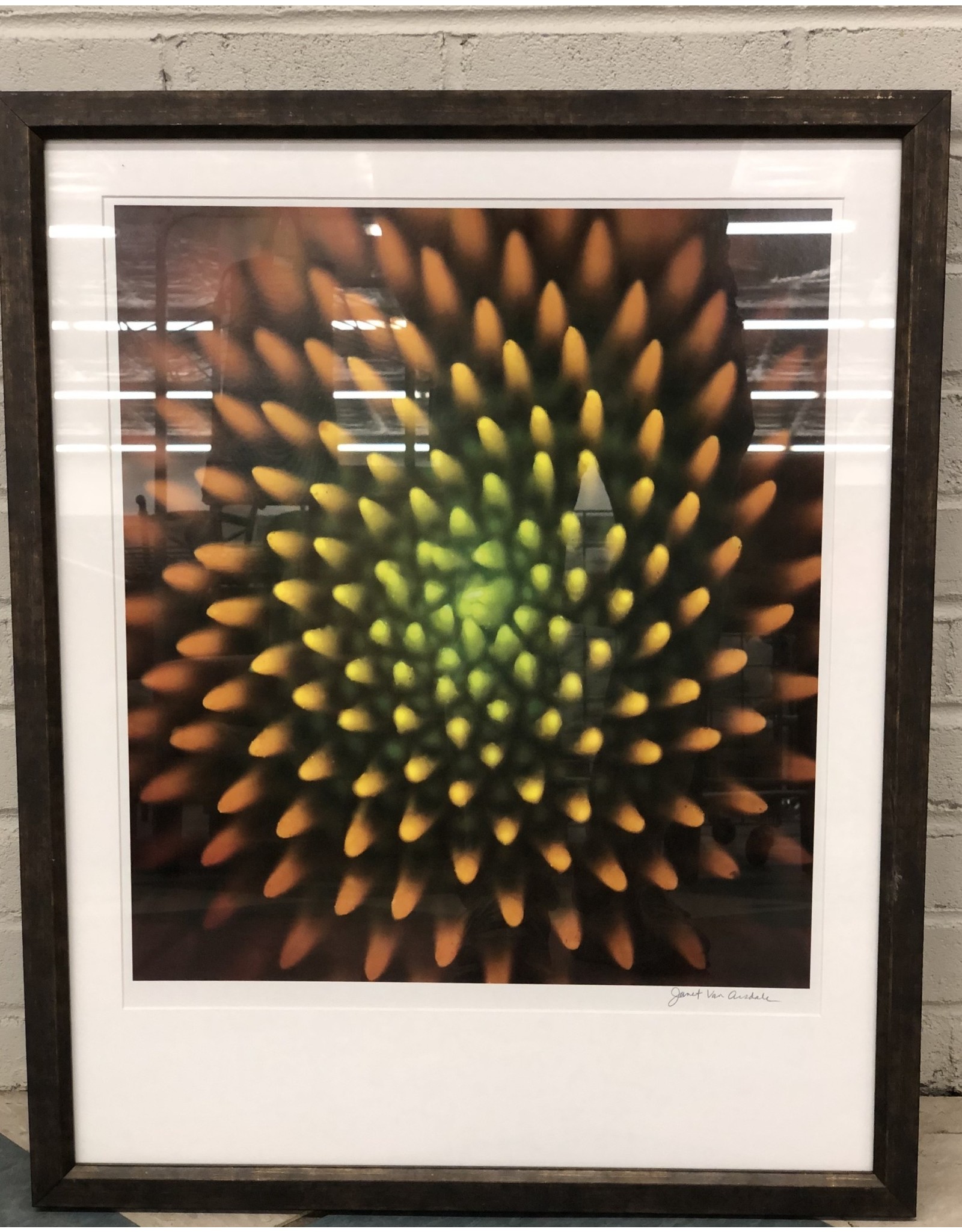 Residence Inn CRI-Picture Md