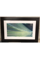 Residence Inn CRI-Picture Md