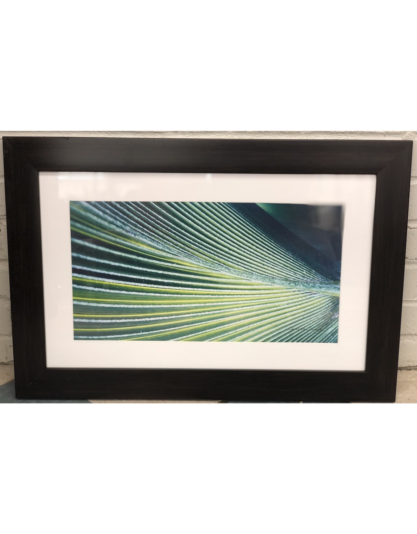 Residence Inn CRI-Picture Md