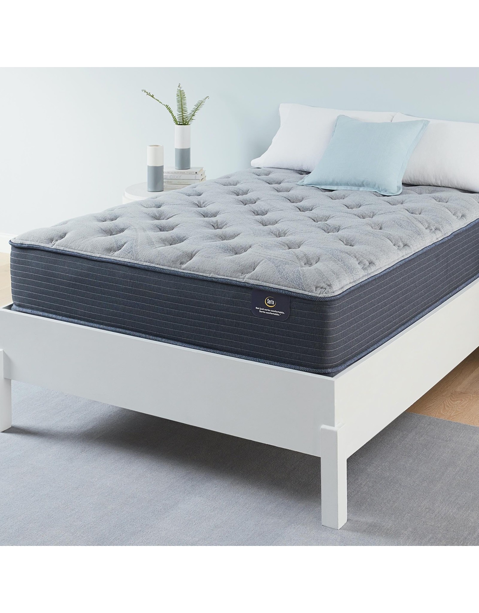 Chamblee Chamblee Firm Queen Mattress