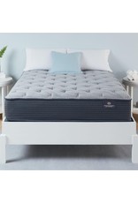 Chamblee Chamblee Firm Queen Mattress