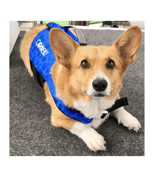 Connelly Dog Neo Vest