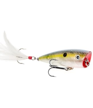 Strike King Strike King HC KVD Splash Popper