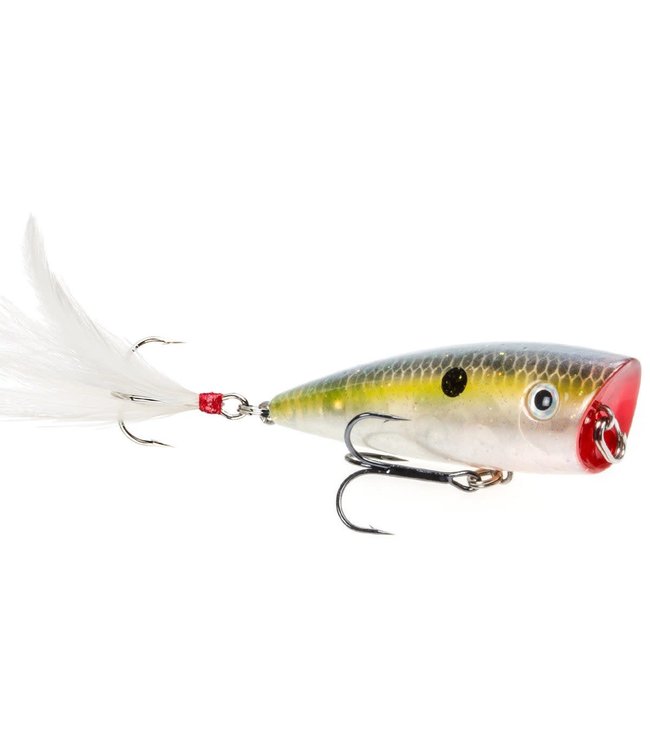 Strike King HC KVD Splash Popper