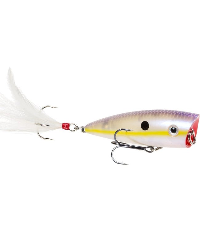 Strike King HC KVD Splash Popper