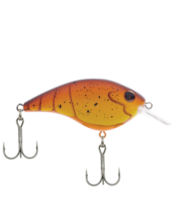 Berkley Frittside #5 Jr