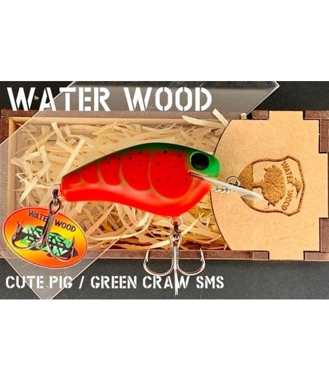 Water Wood Cute Pig