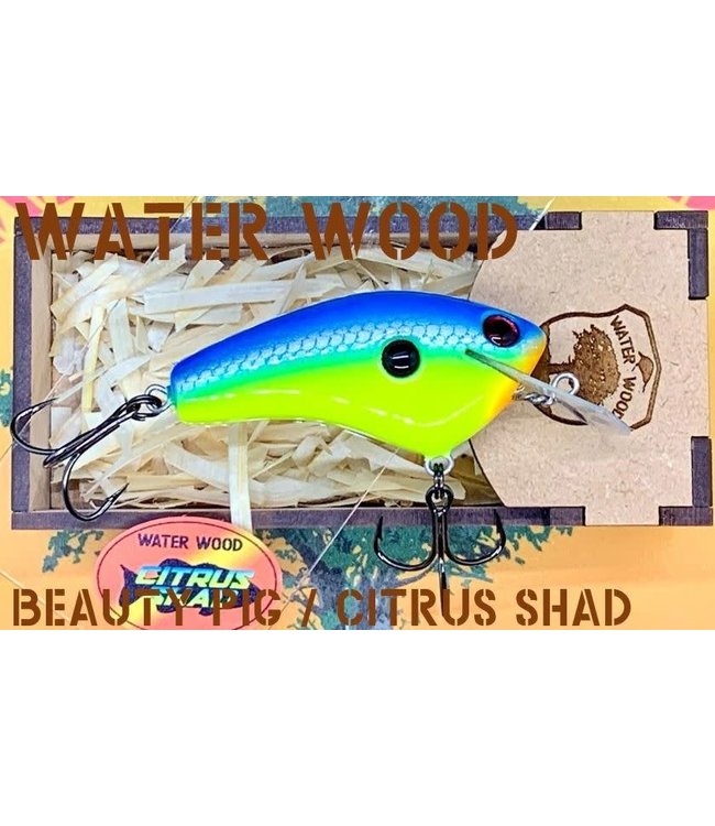 Water Wood Beauty Pig