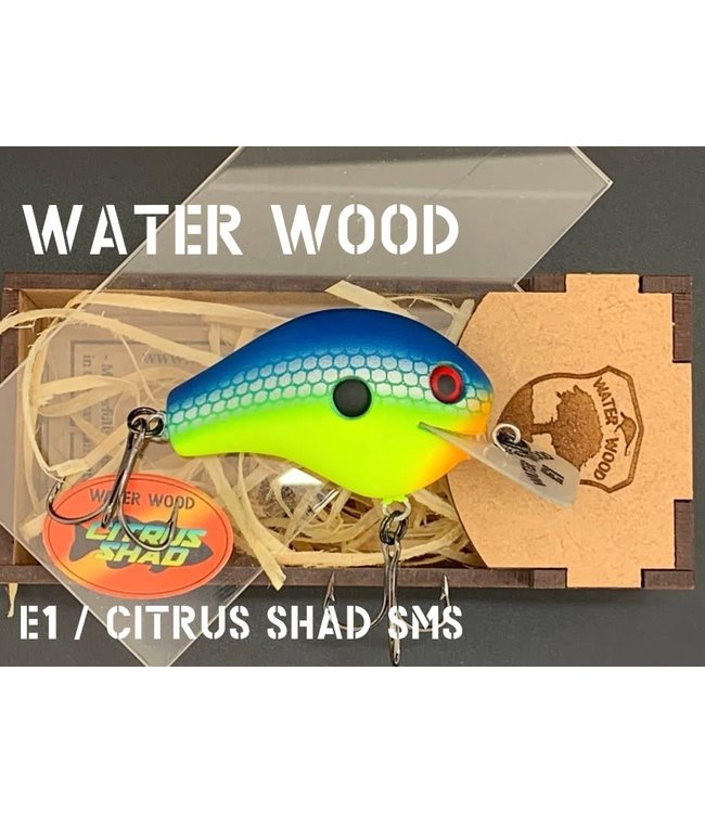 Water Wood Echo 1 (E1) SMS