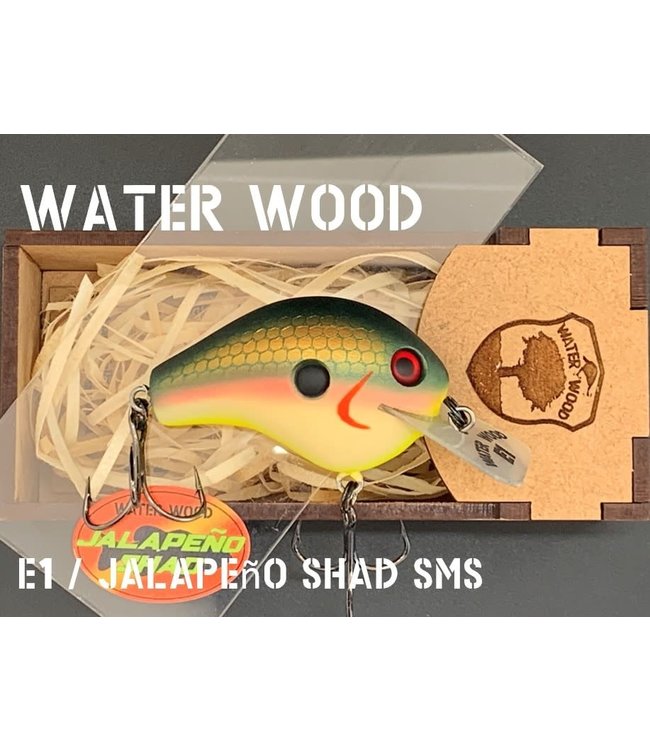 Water Wood Echo 1 (E1) SMS